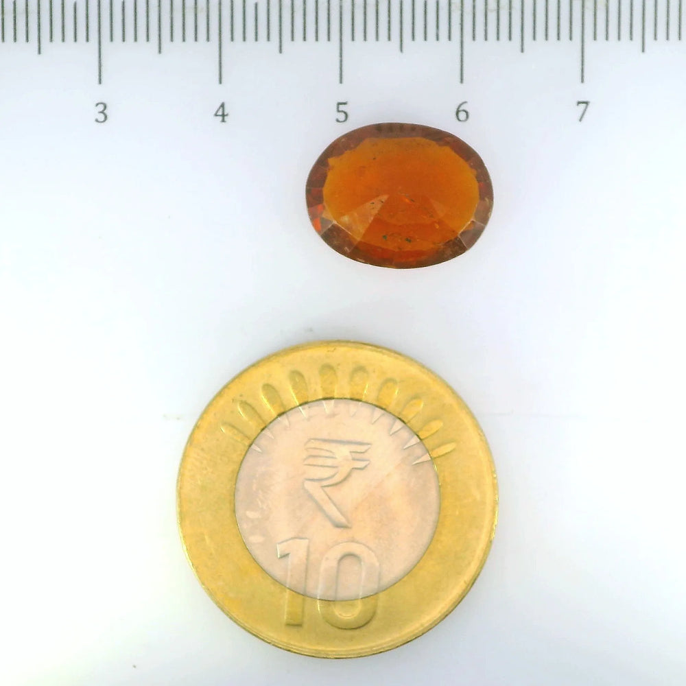 ITLGR_104399_SCALE.webp
