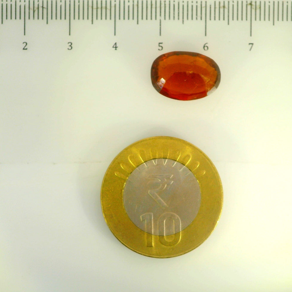 ITLGR_104408_SCALE.webp