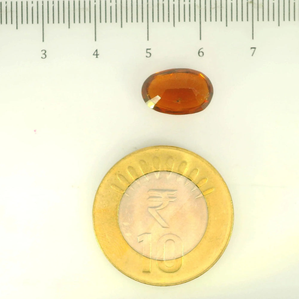 ITLGR_104435_SCALE.webp