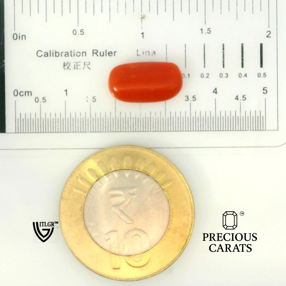 ITLGR_104491_SCALE.webp