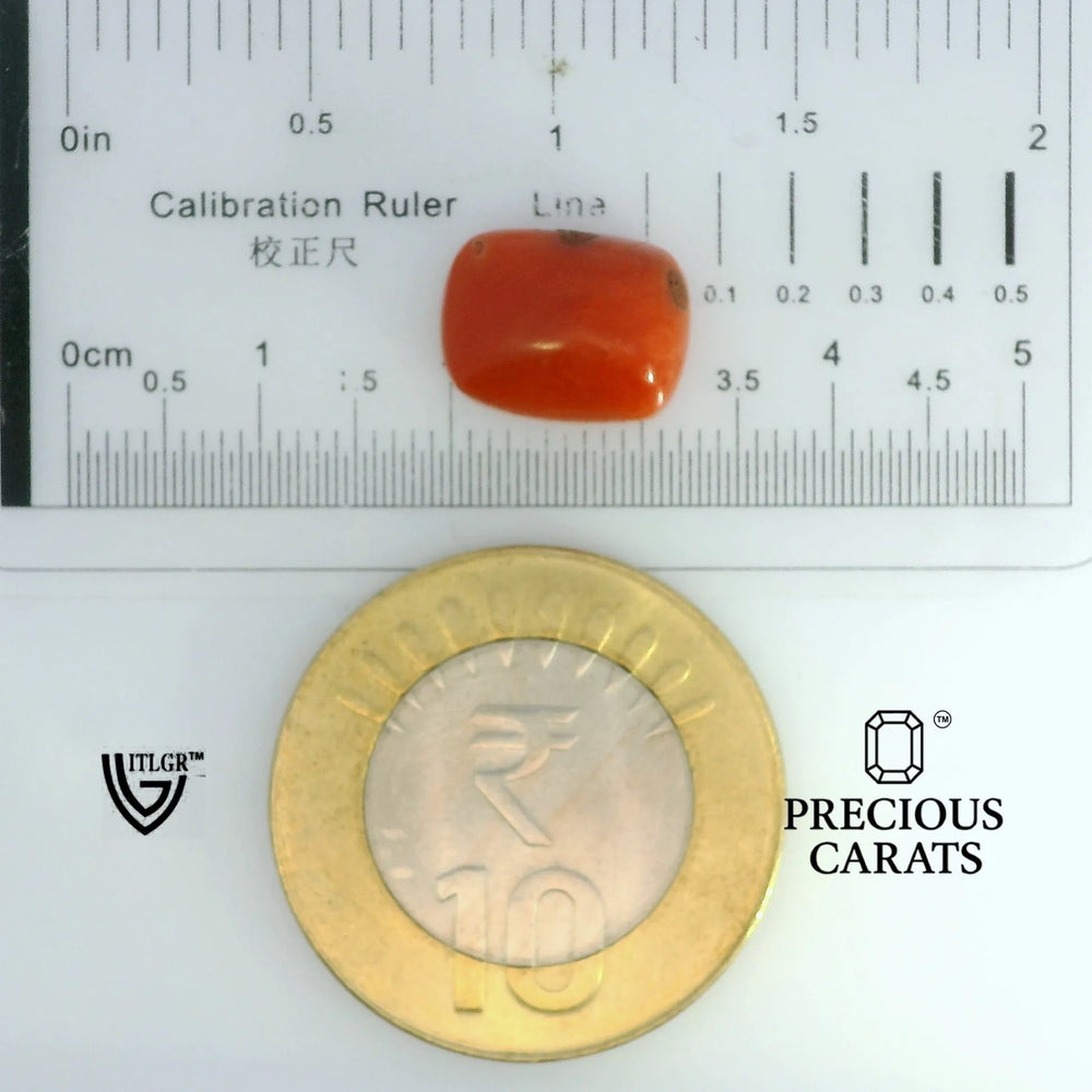 ITLGR_104495_SCALE.webp