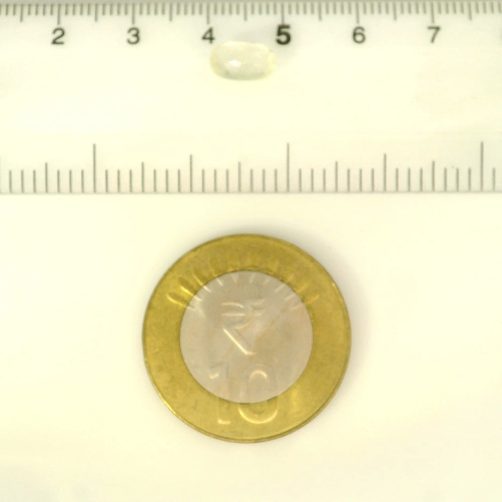 ITLGR_104970_SCALE.webp