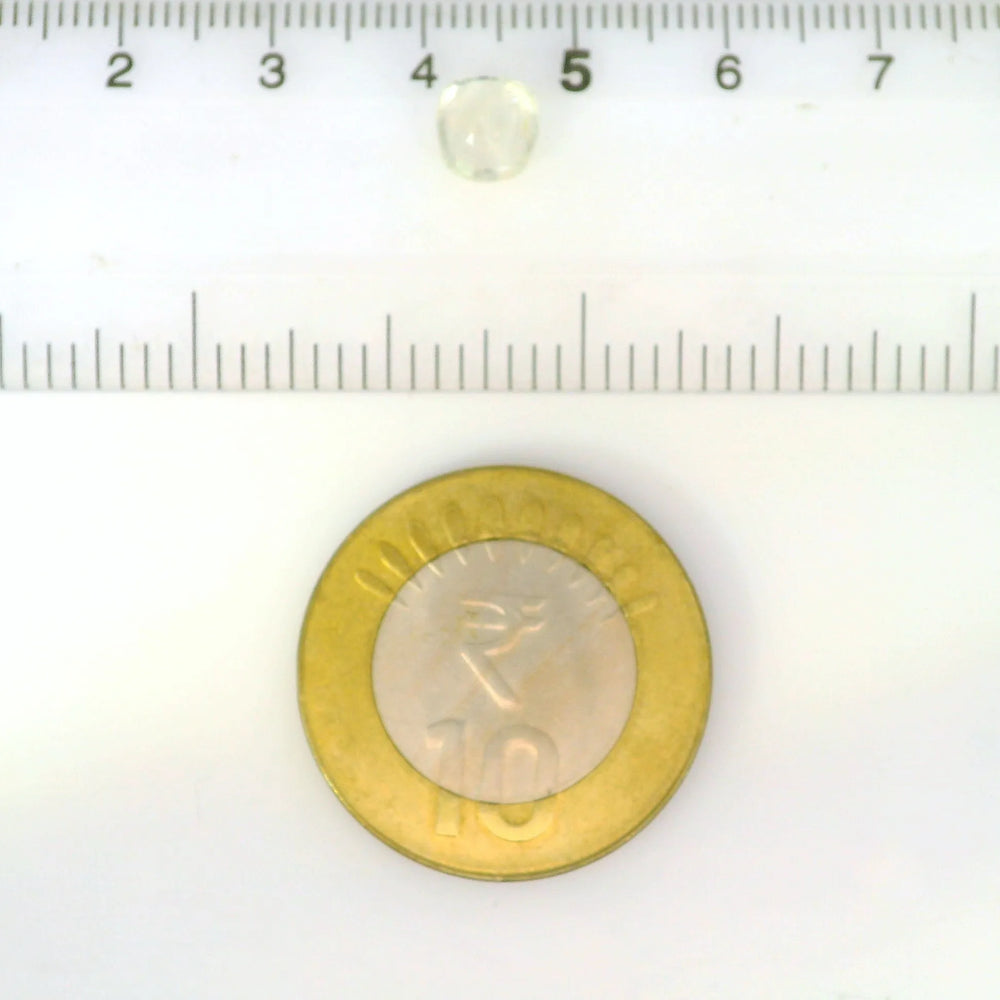 ITLGR_105017_SCALE.webp