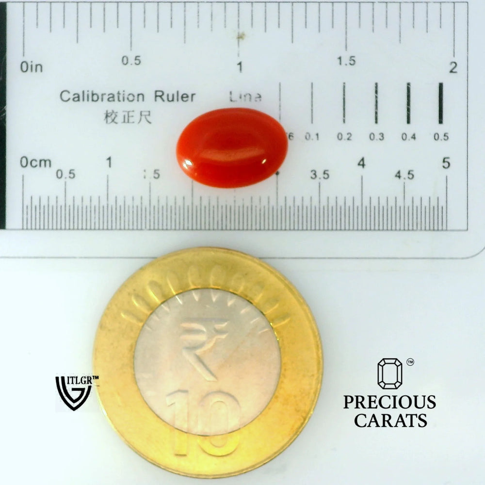 ITLGR_105266_SCALE.webp