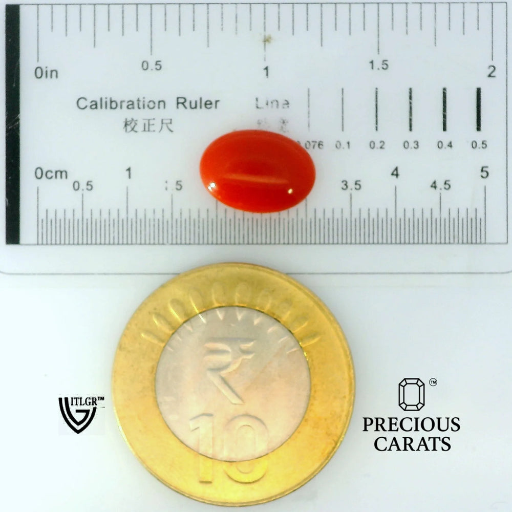ITLGR_105271_SCALE.webp