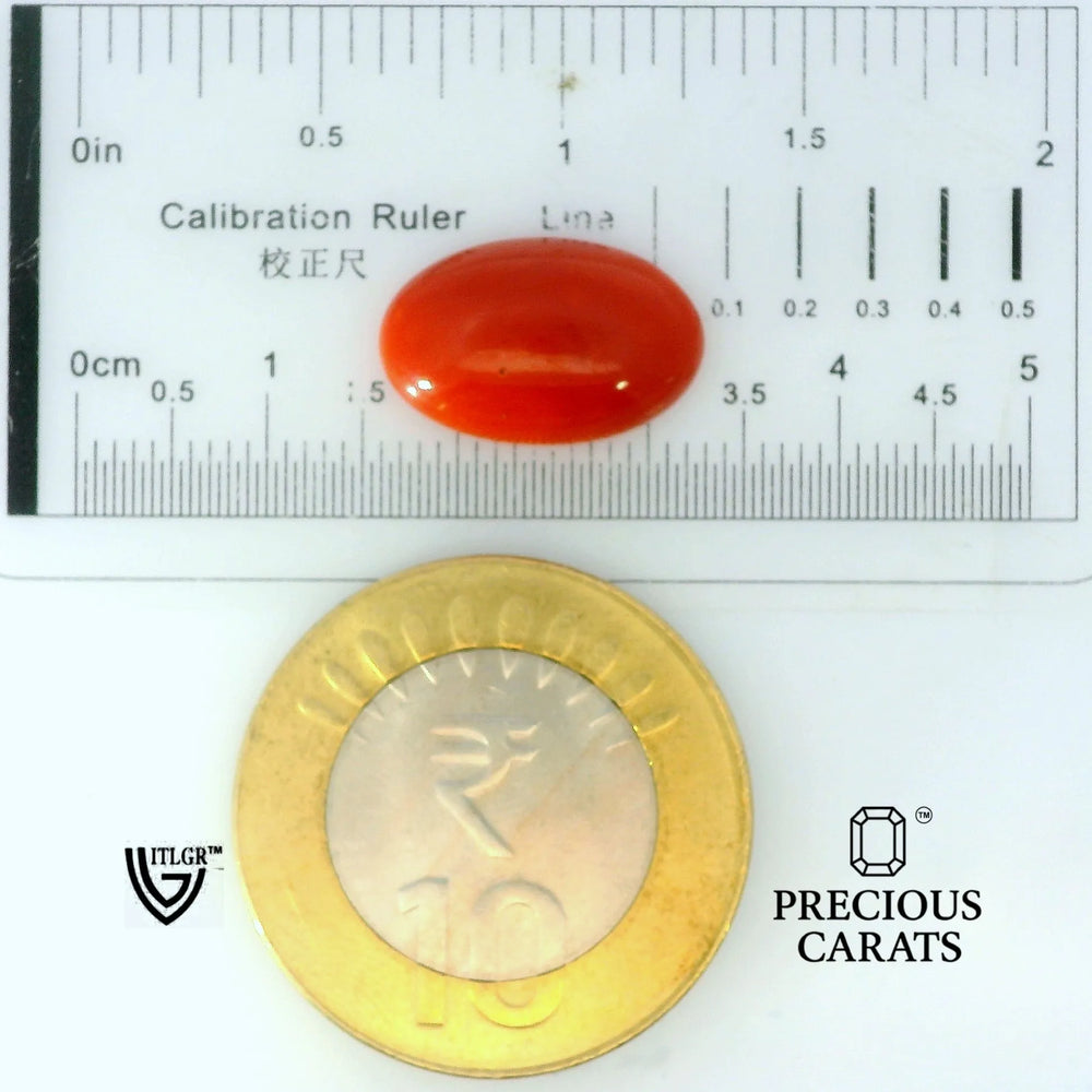 ITLGR_105275_SCALE.webp