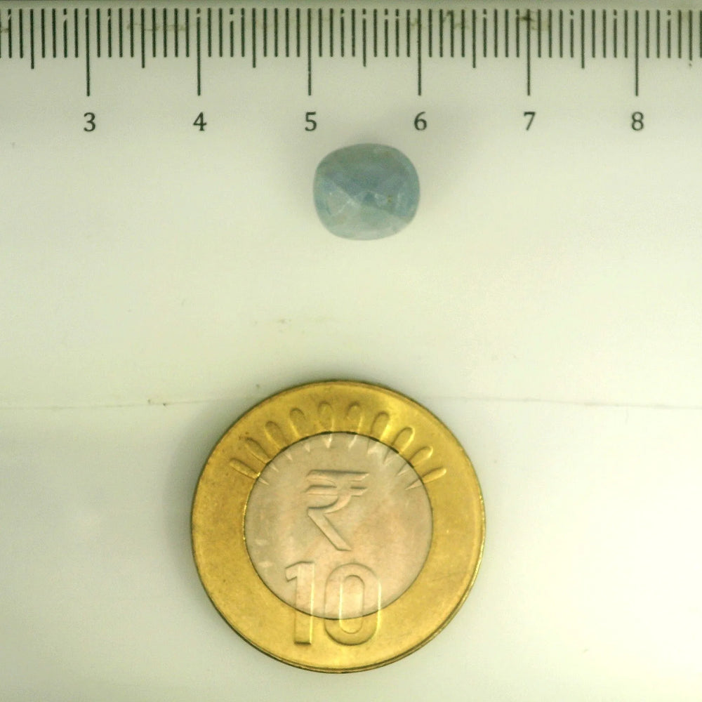 ITLGR_106697_SCALE.webp