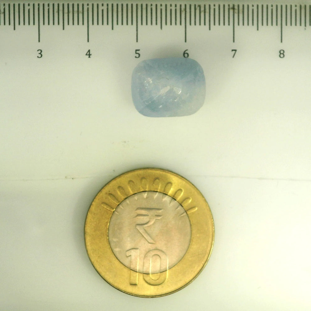 ITLGR_106731_SCALE.webp
