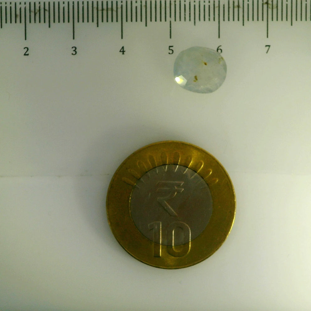 ITLGR_106748_SCALE.webp