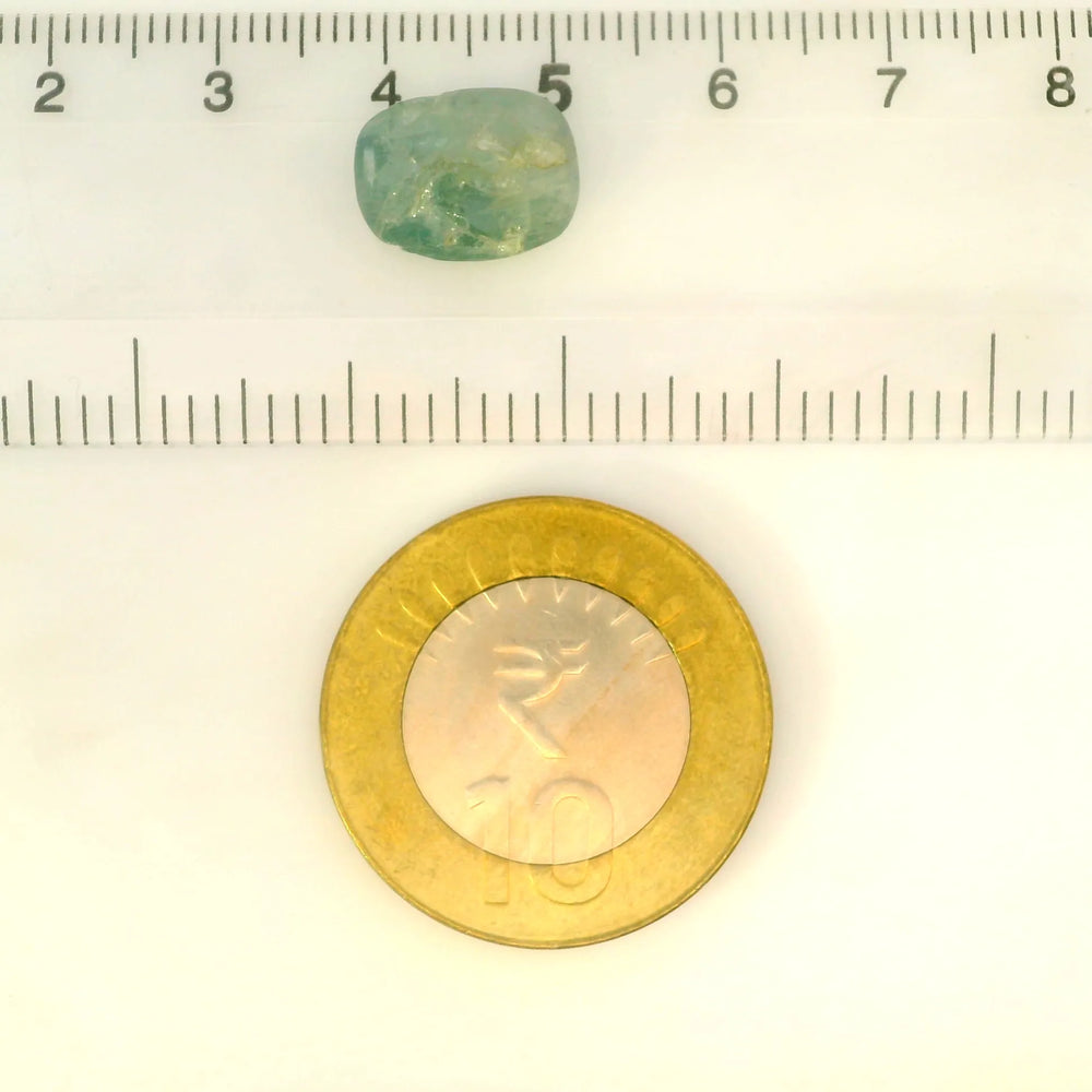 ITLGR_106753_SCALE.webp