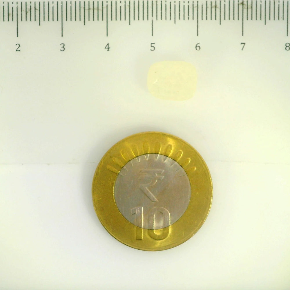 ITLGR_106795_SCALE.webp