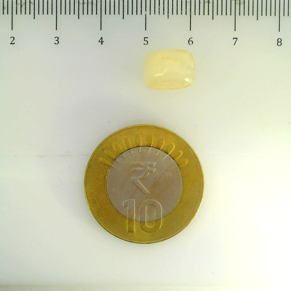 ITLGR_106803_SCALE.webp