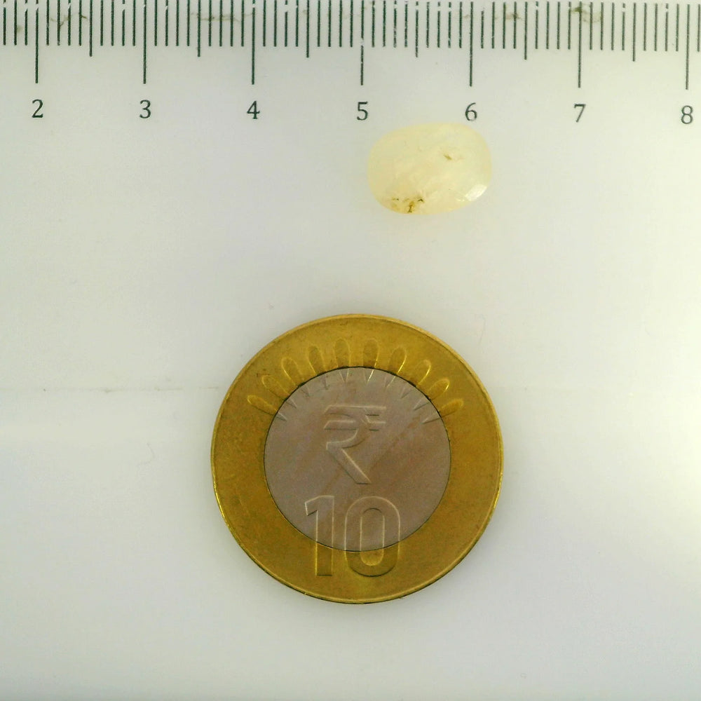 ITLGR_106806_SCALE.webp