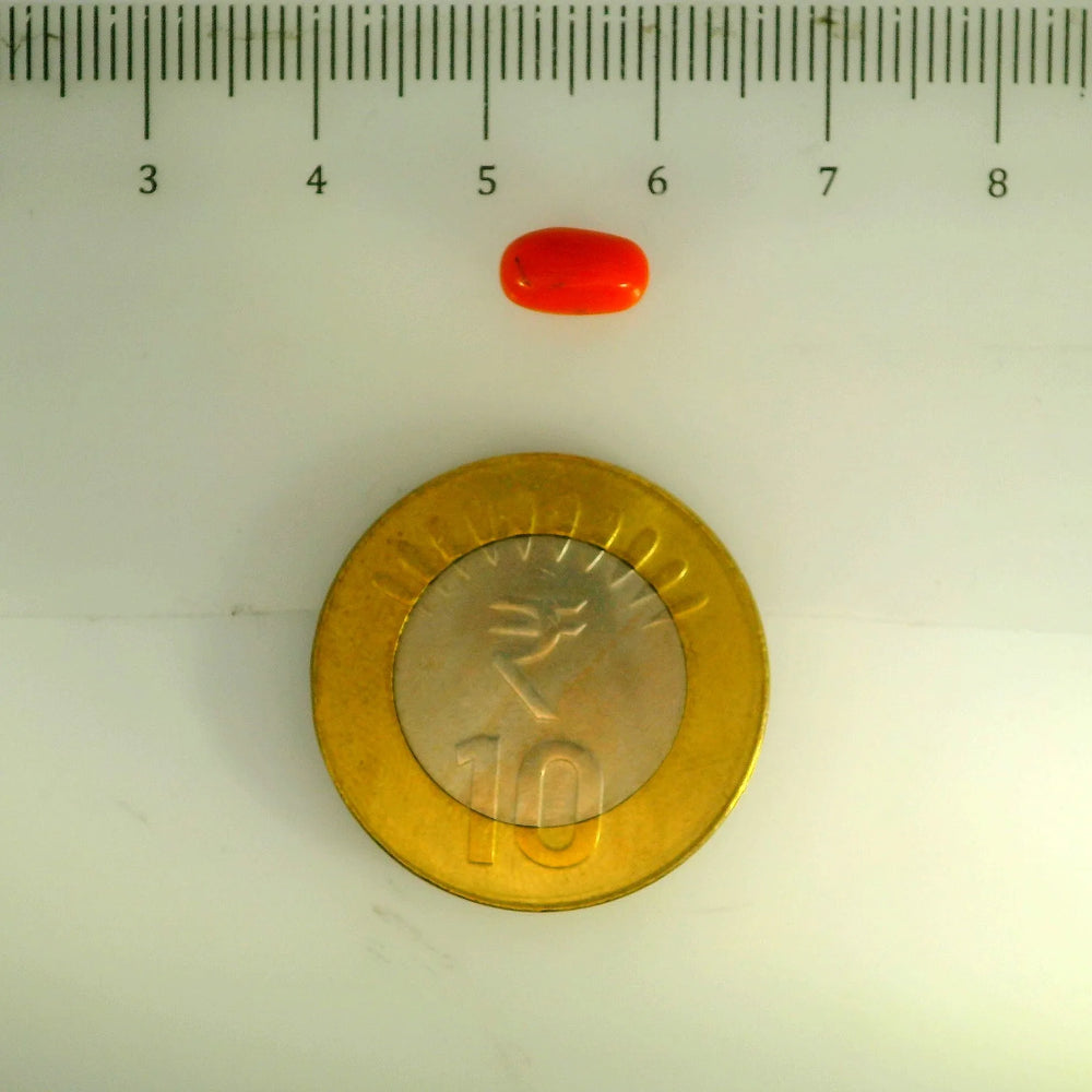 ITLGR_107104_SCALE.webp