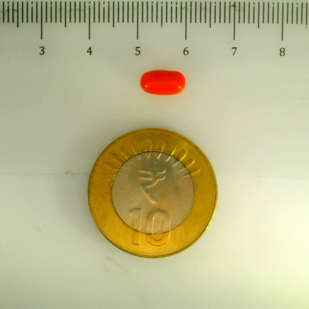 ITLGR_107105_SCALE.webp