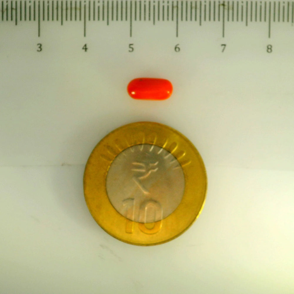 ITLGR_107110_SCALE.webp