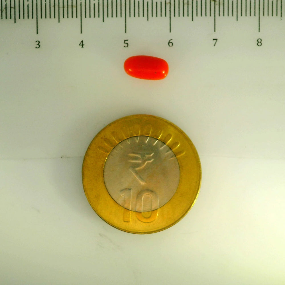 ITLGR_107115_SCALE.webp