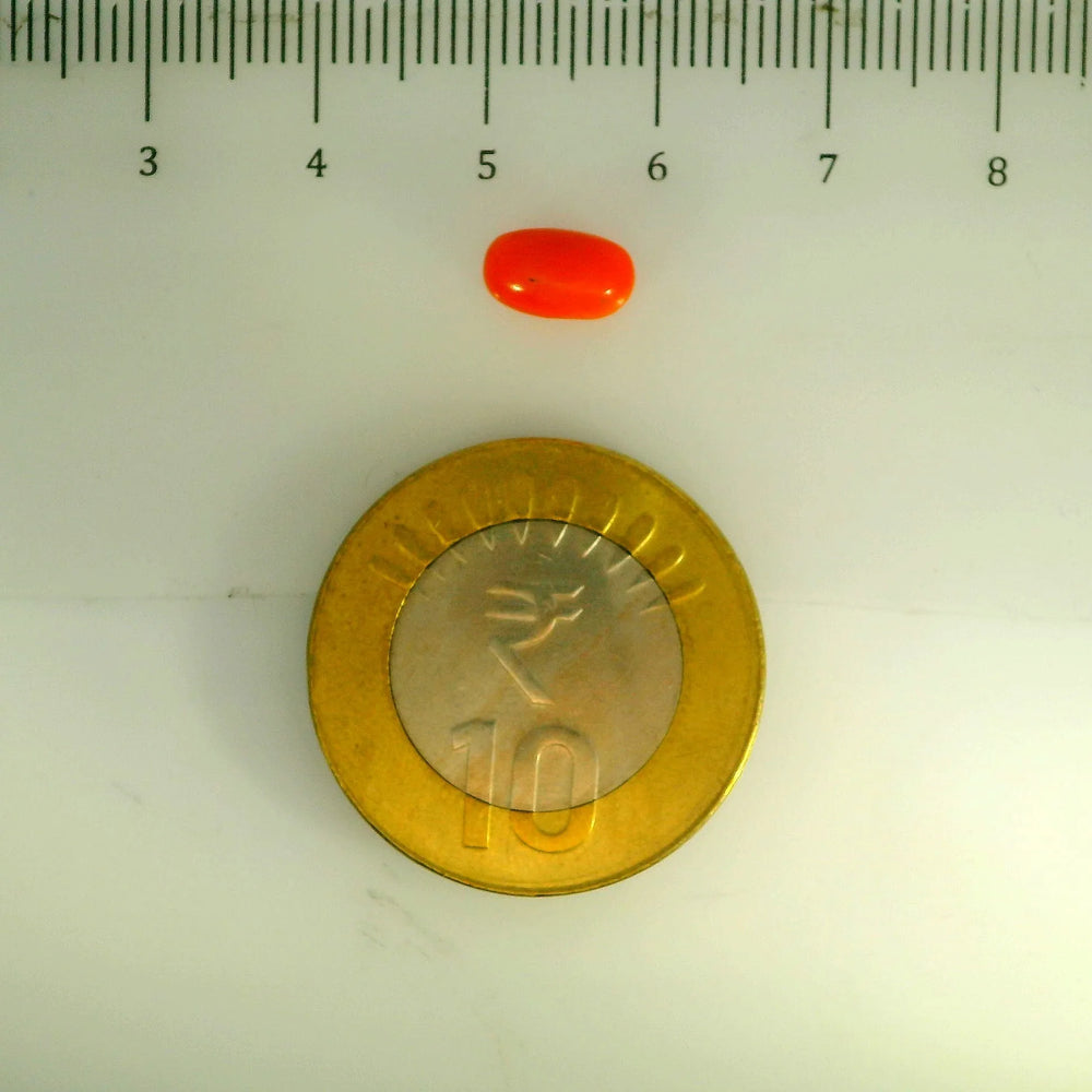 ITLGR_107116_SCALE.webp