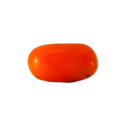 ITLGR_107121_FRONT.png