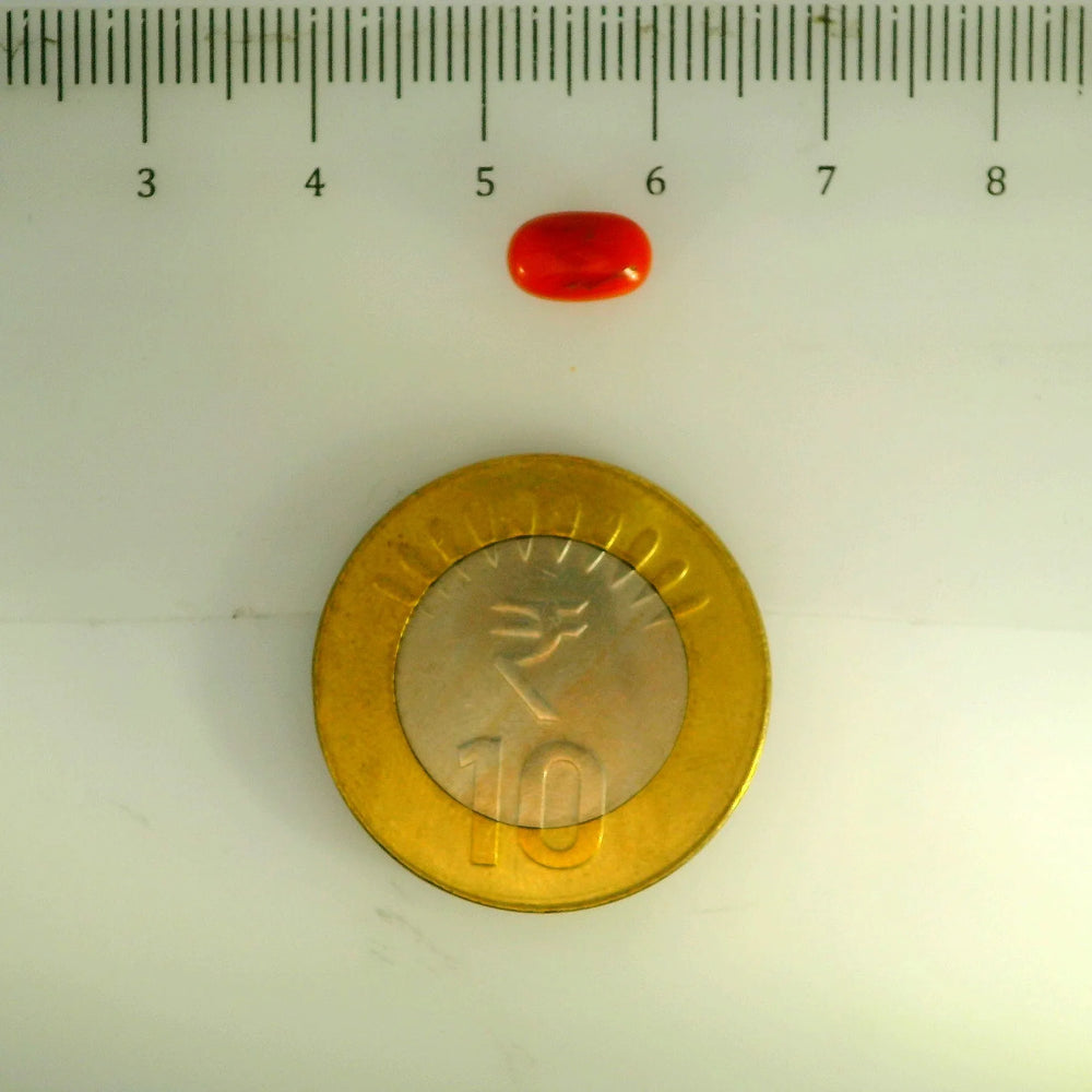 ITLGR_107145_SCALE.webp