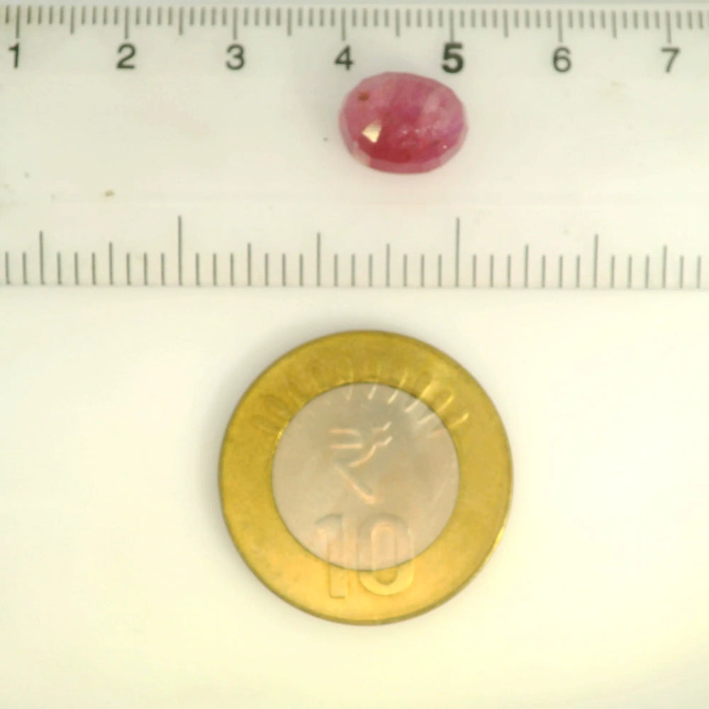 ITLGR_109883_SCALE.webp