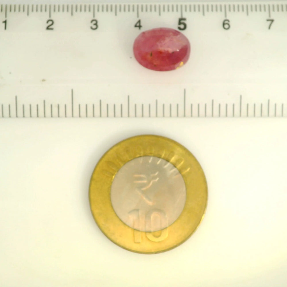 ITLGR_109887_SCALE.webp