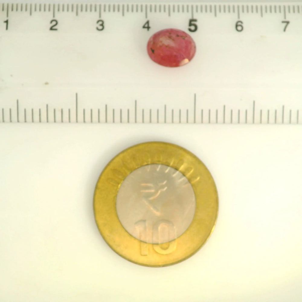 ITLGR_109893_SCALE.webp