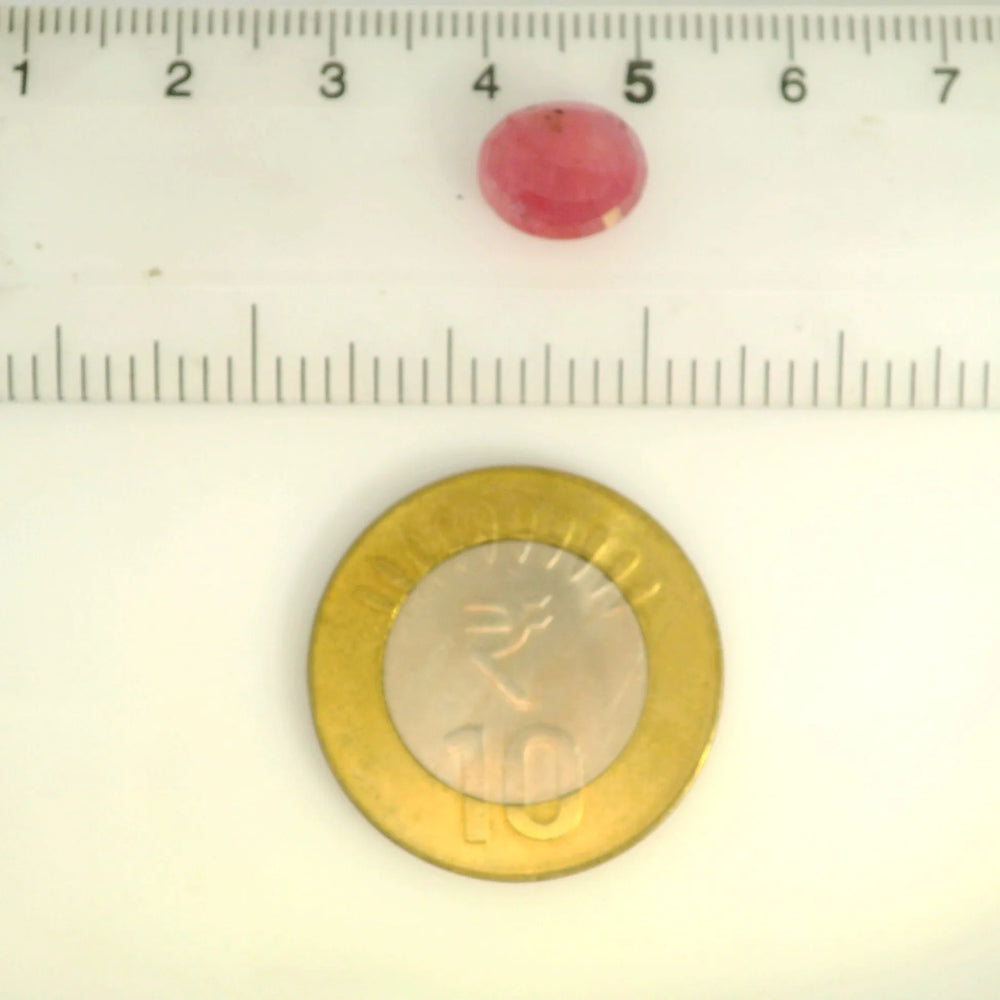 ITLGR_109896_SCALE.webp