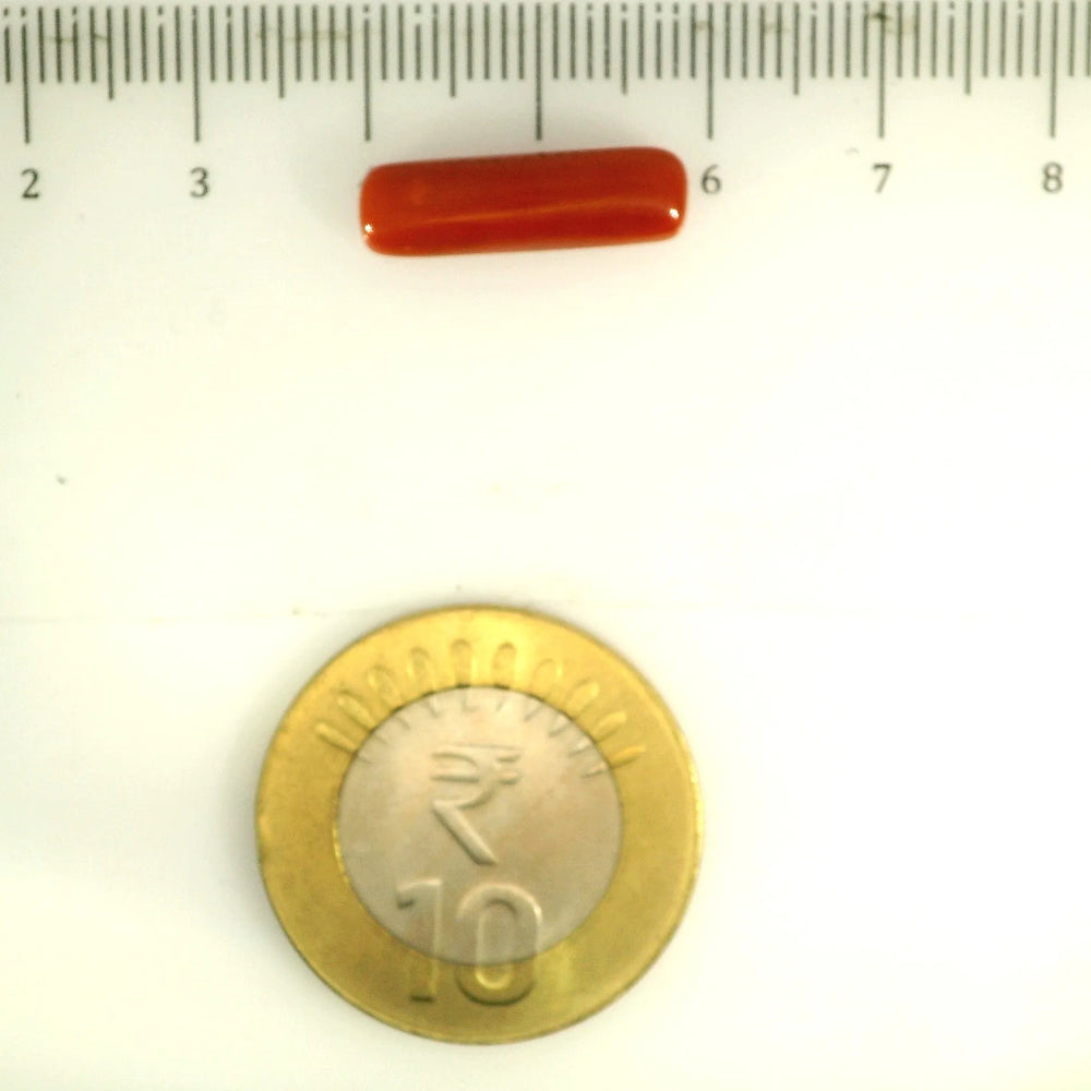 ITLGR_112820_SCALE.webp