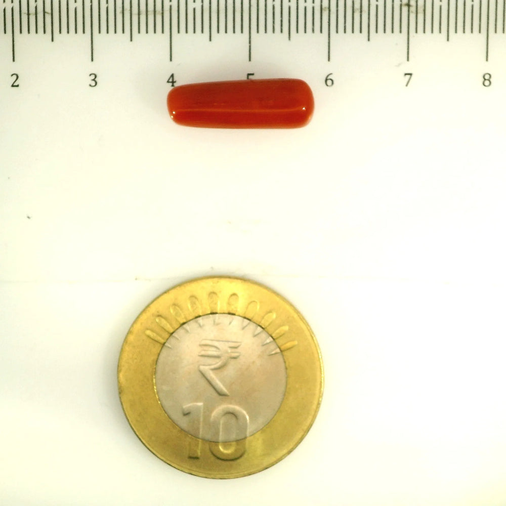 ITLGR_112825_SCALE.webp