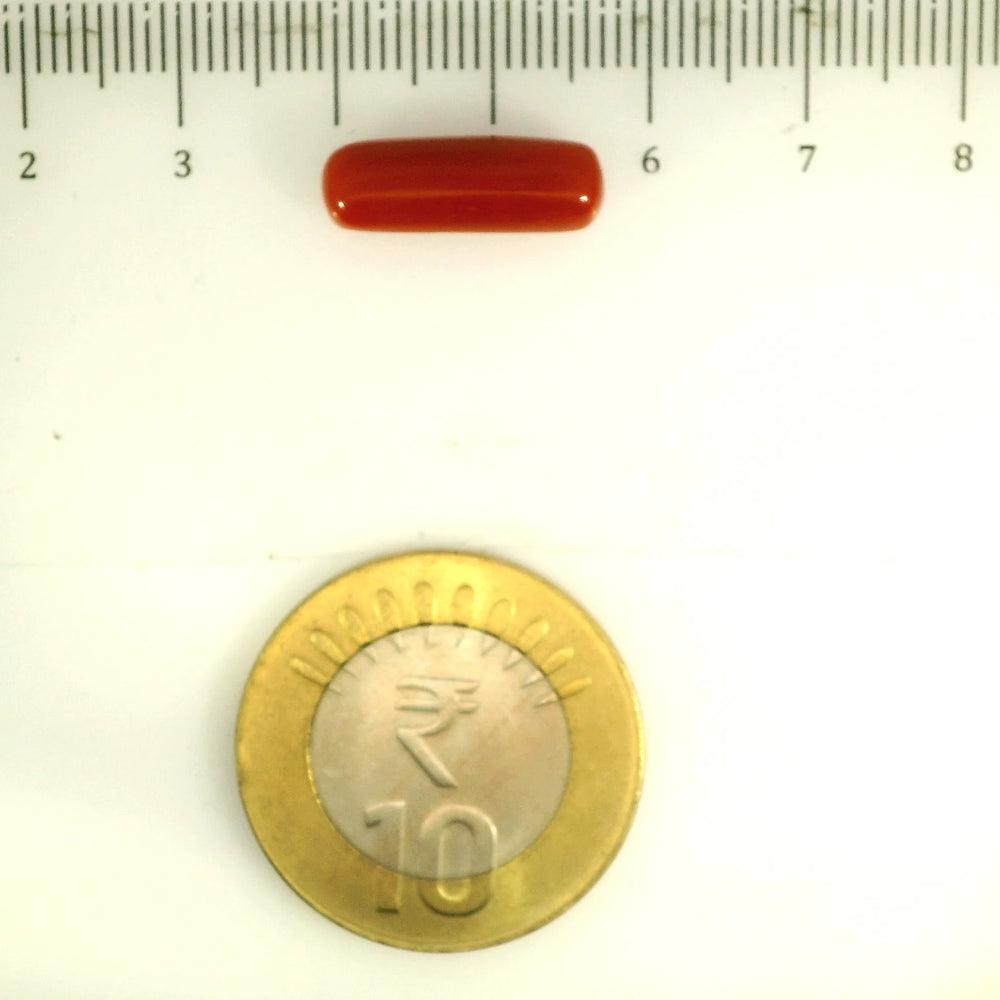 ITLGR_112827_SCALE.webp