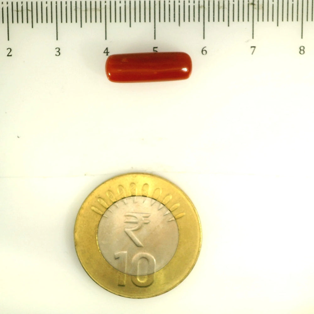 ITLGR_112829_SCALE.webp