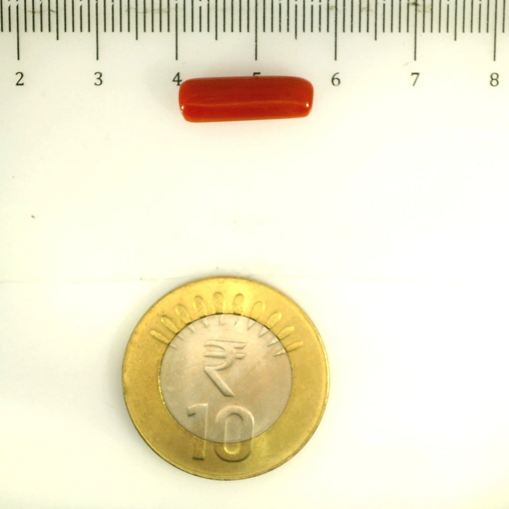 ITLGR_112832_SCALE.webp