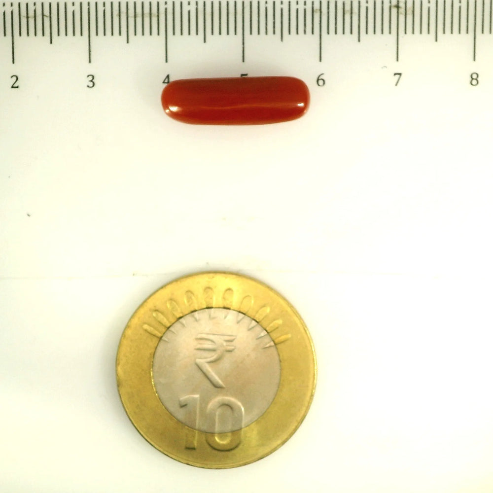 ITLGR_112835_SCALE.webp