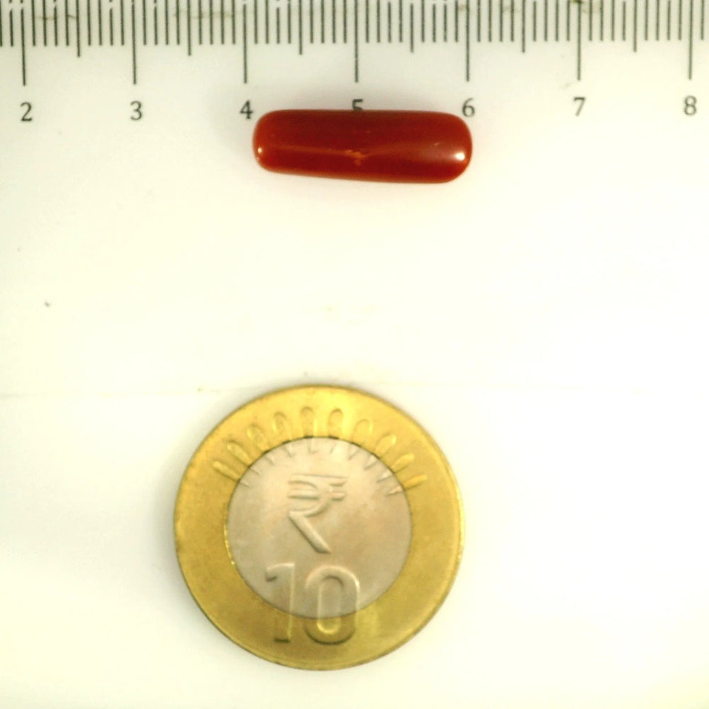 ITLGR_112836_SCALE.webp
