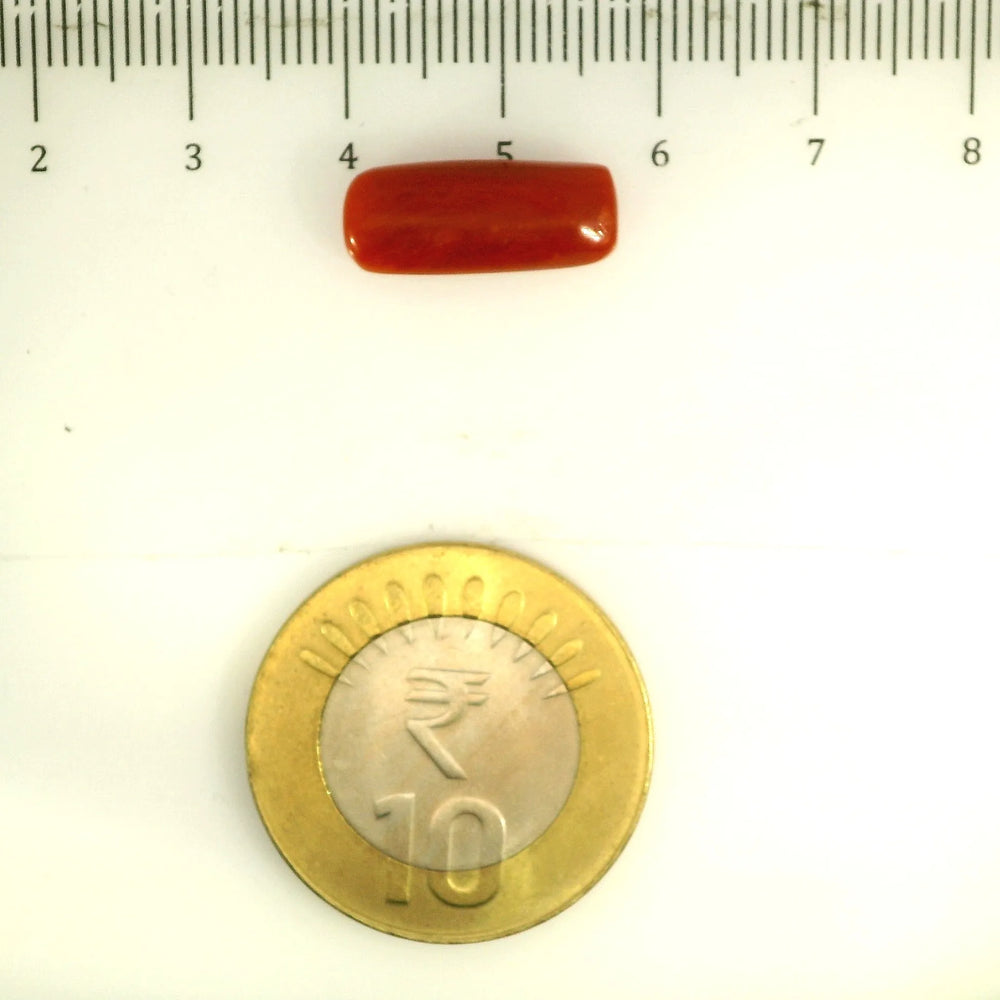 ITLGR_112837_SCALE.webp