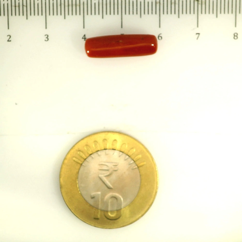 ITLGR_112839_SCALE.webp