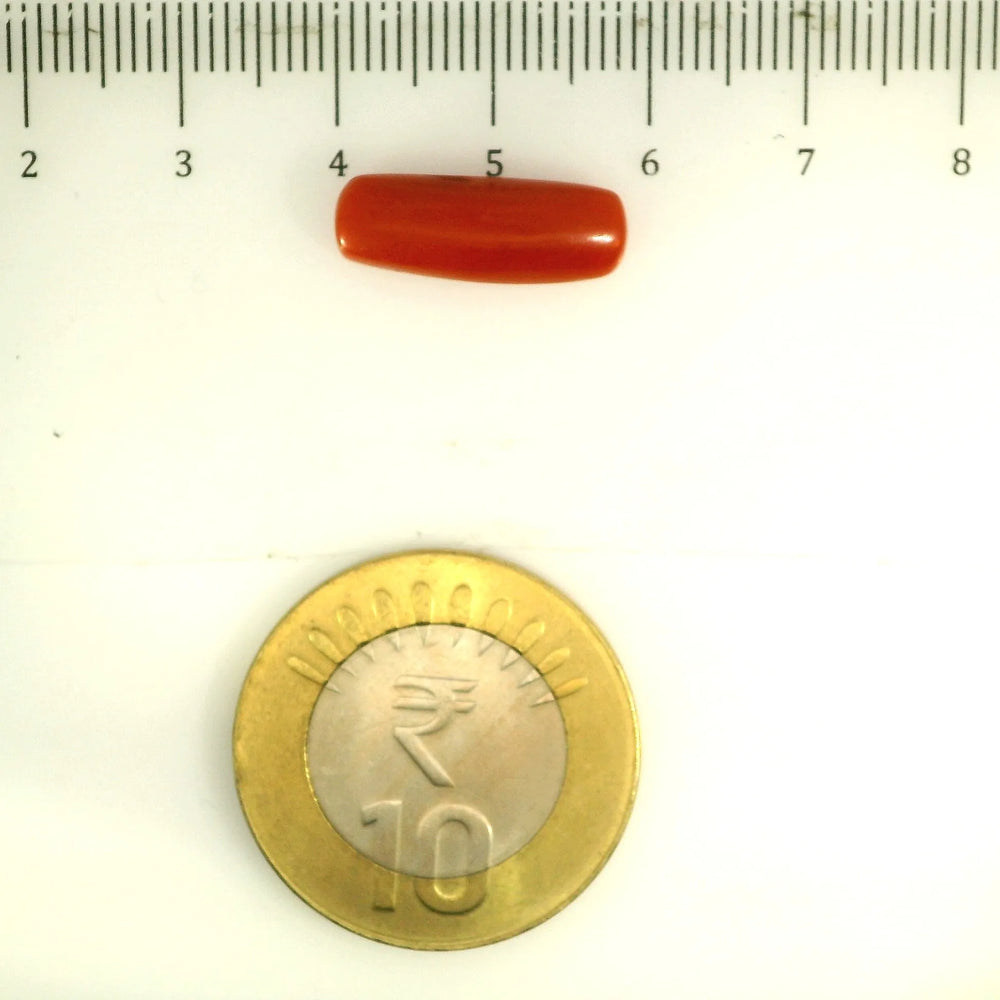 ITLGR_112840_SCALE.webp