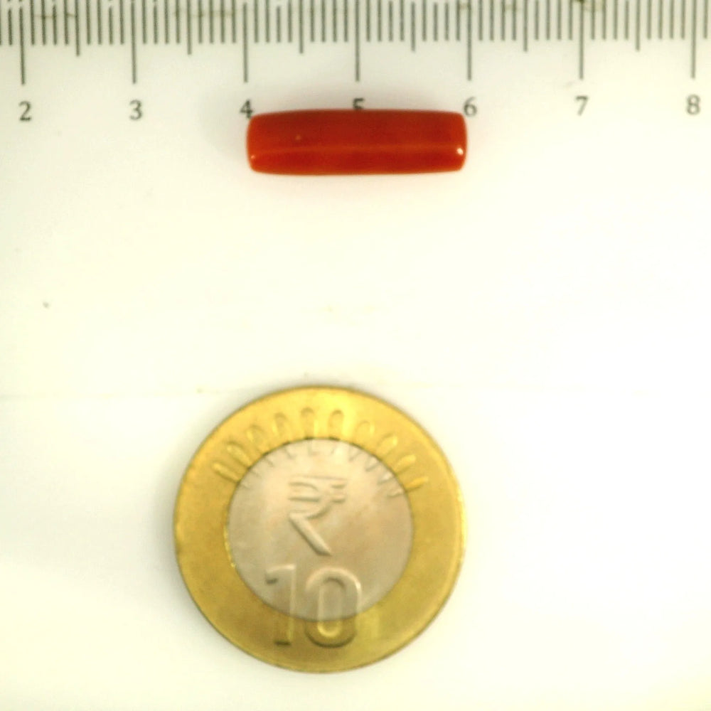 ITLGR_112843_SCALE.webp