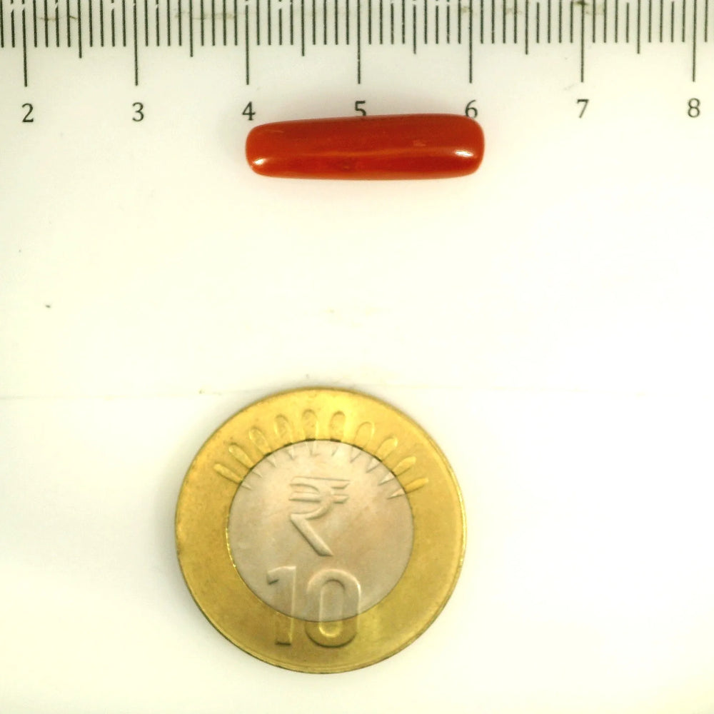 ITLGR_112847_SCALE.webp