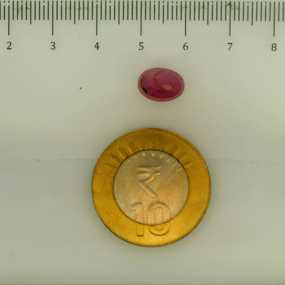 ITLGR_112861_SCALE.webp