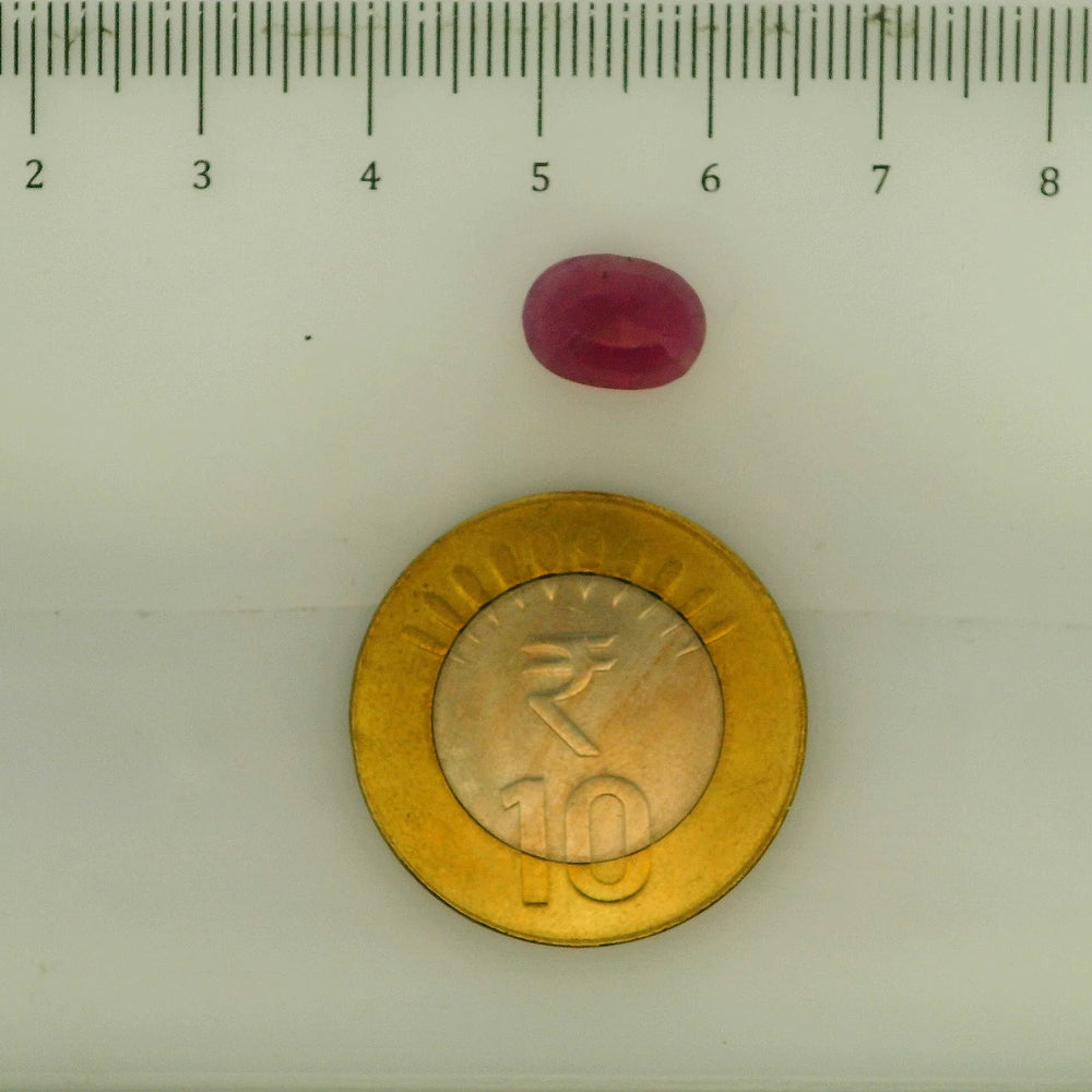 ITLGR_112863_SCALE.webp
