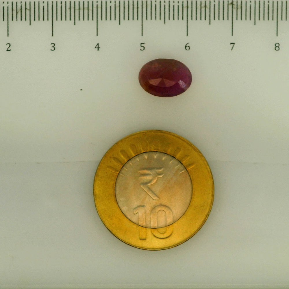 ITLGR_112864_SCALE.webp