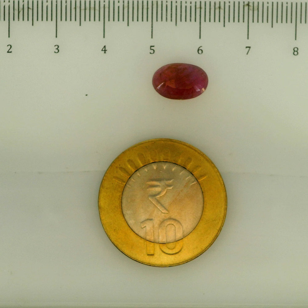 ITLGR_112868_SCALE.webp