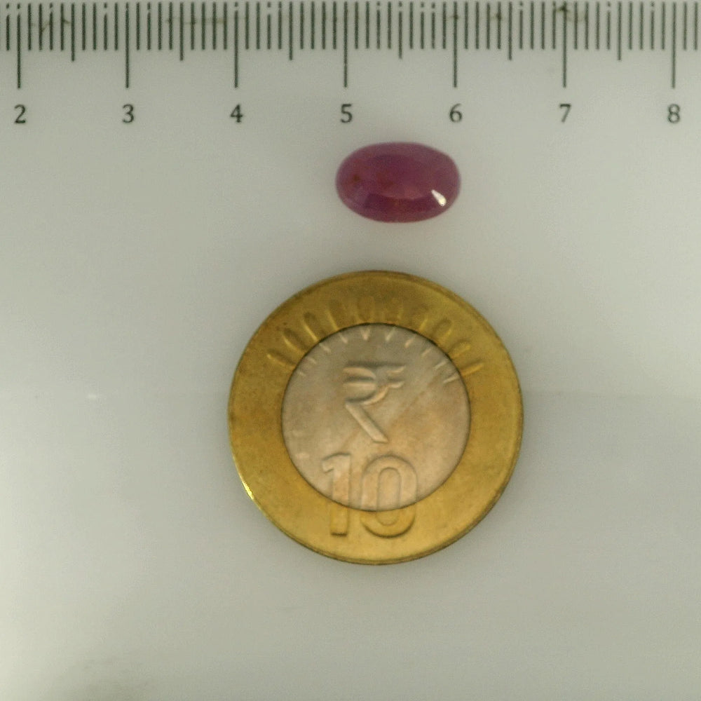 ITLGR_112875_SCALE.webp