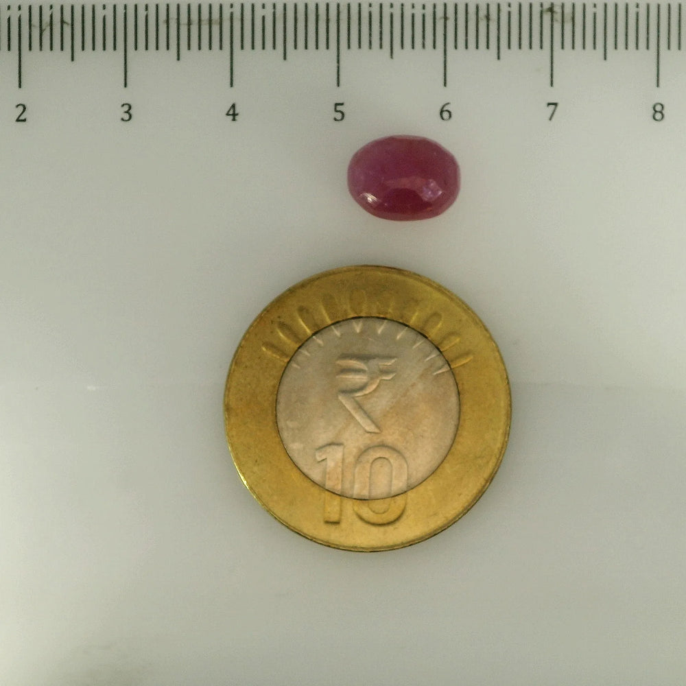 ITLGR_112878_SCALE.webp