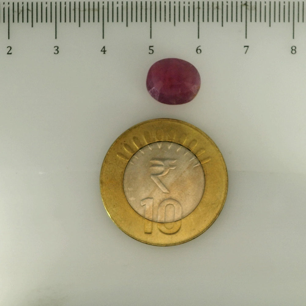 ITLGR_112881_SCALE.webp