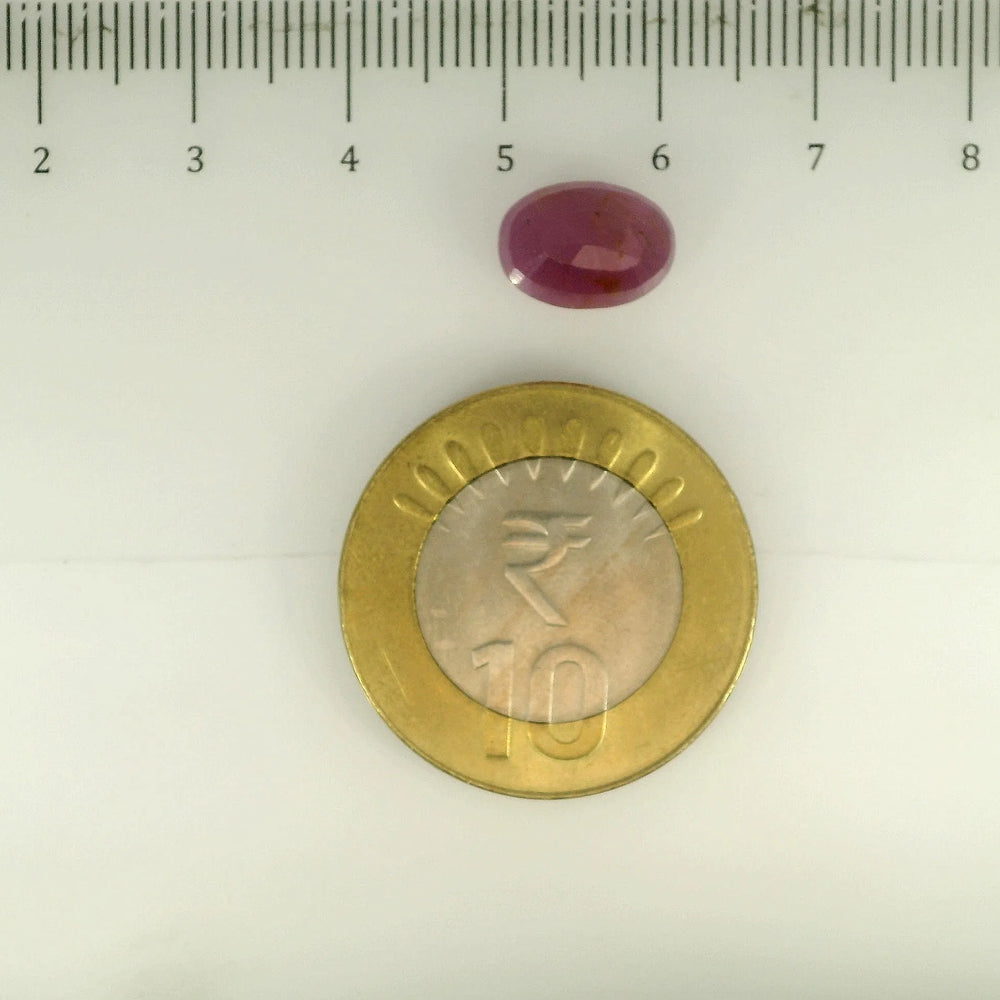 ITLGR_112886_SCALE.webp