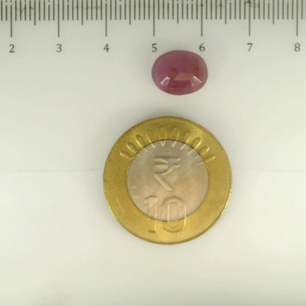 ITLGR_112887_SCALE.webp