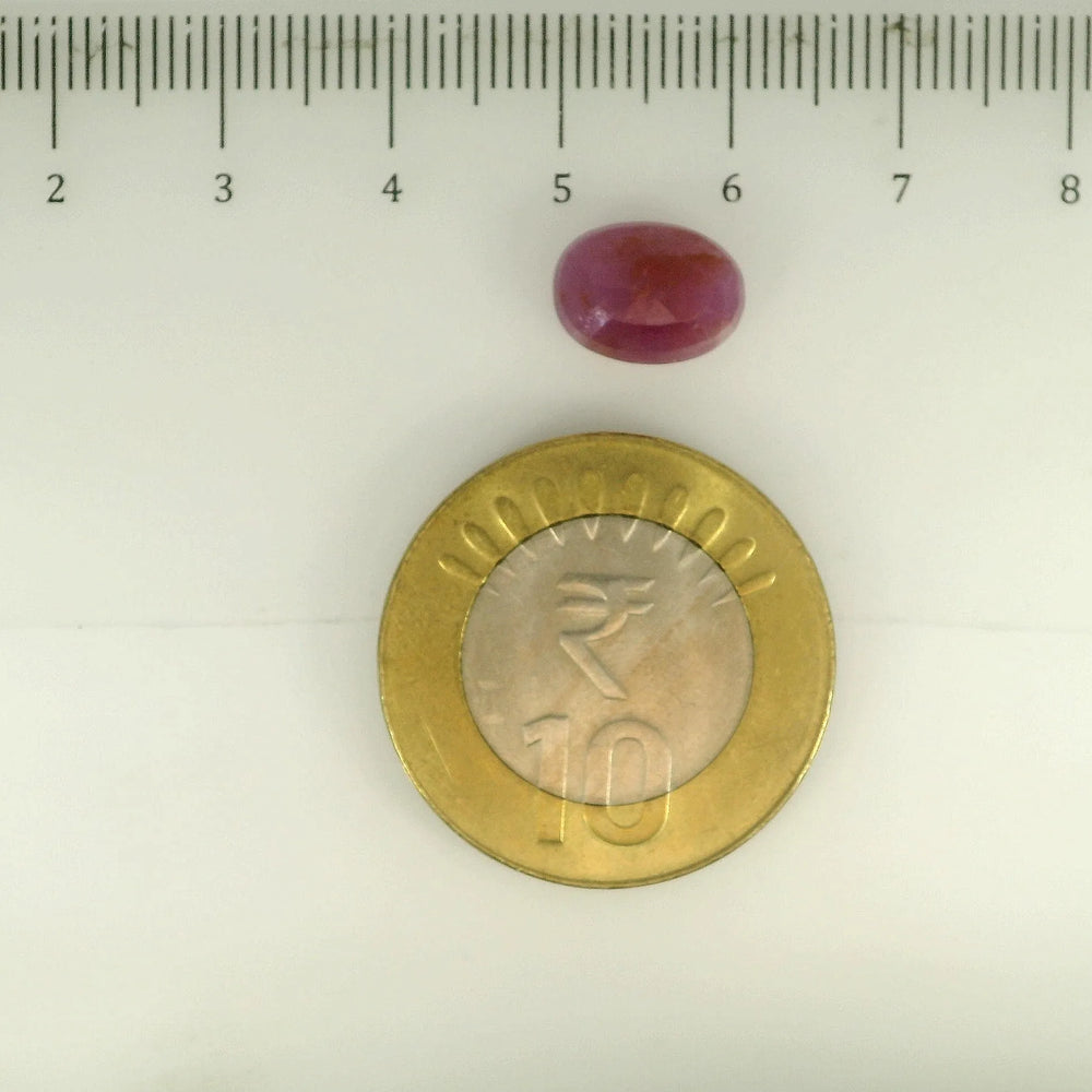 ITLGR_112890_SCALE.webp